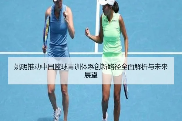 姚明推动中国篮球青训体系创新路径全面解析与未来展望